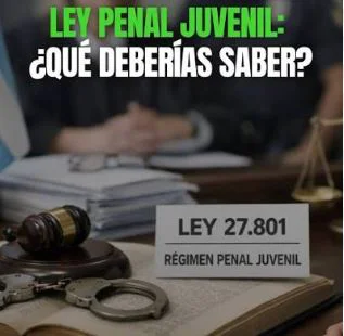 Ley 27801