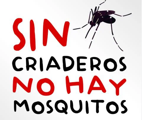 Dengue