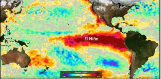 El niño 2