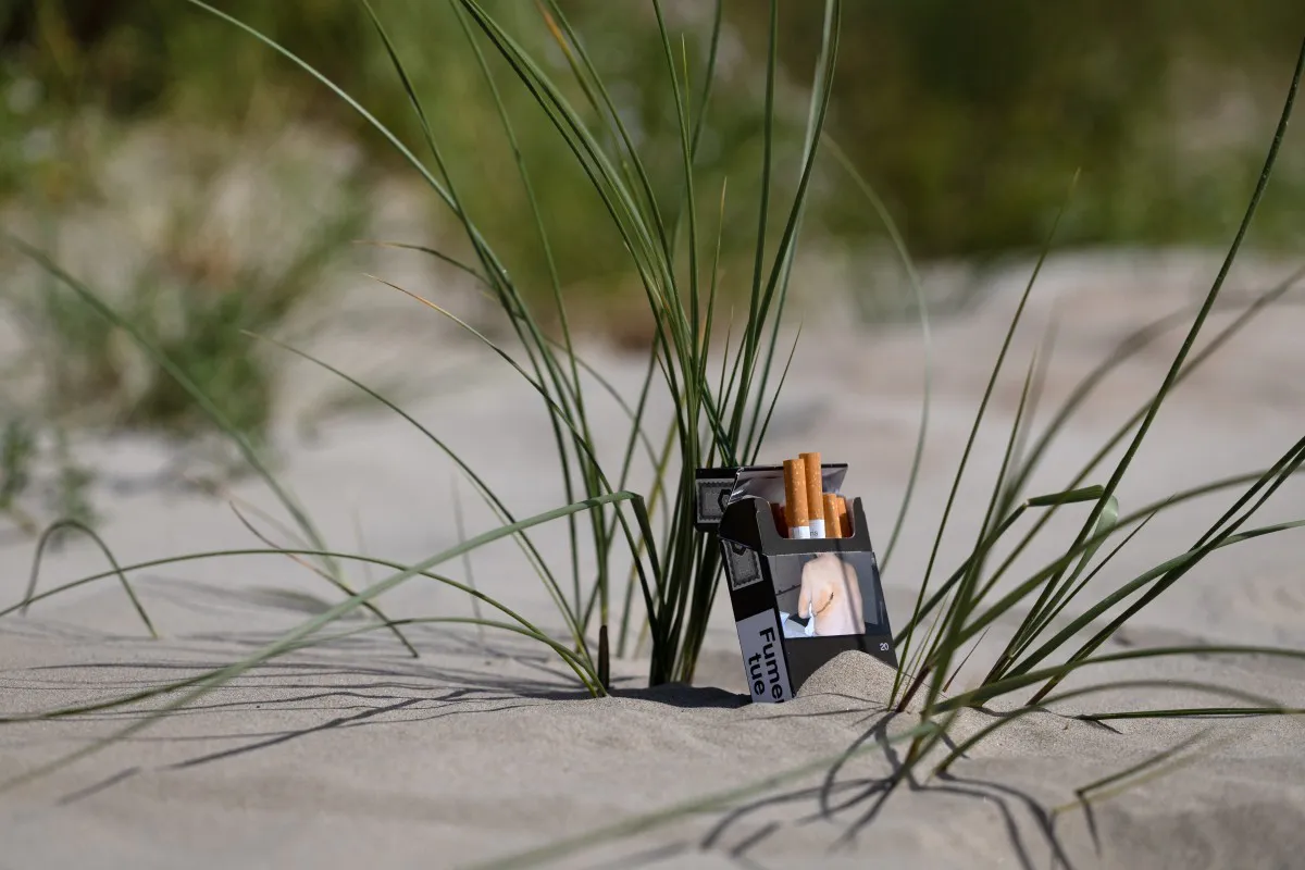 Francia - Prohibieron los cigarrillos