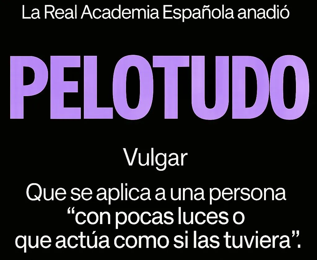 Definición de PELOTUDO, según la RAE