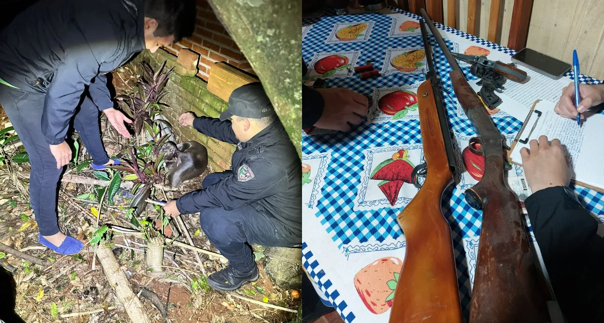 Le disparó al perro de la vecina y tenía un arsenal ilegal
