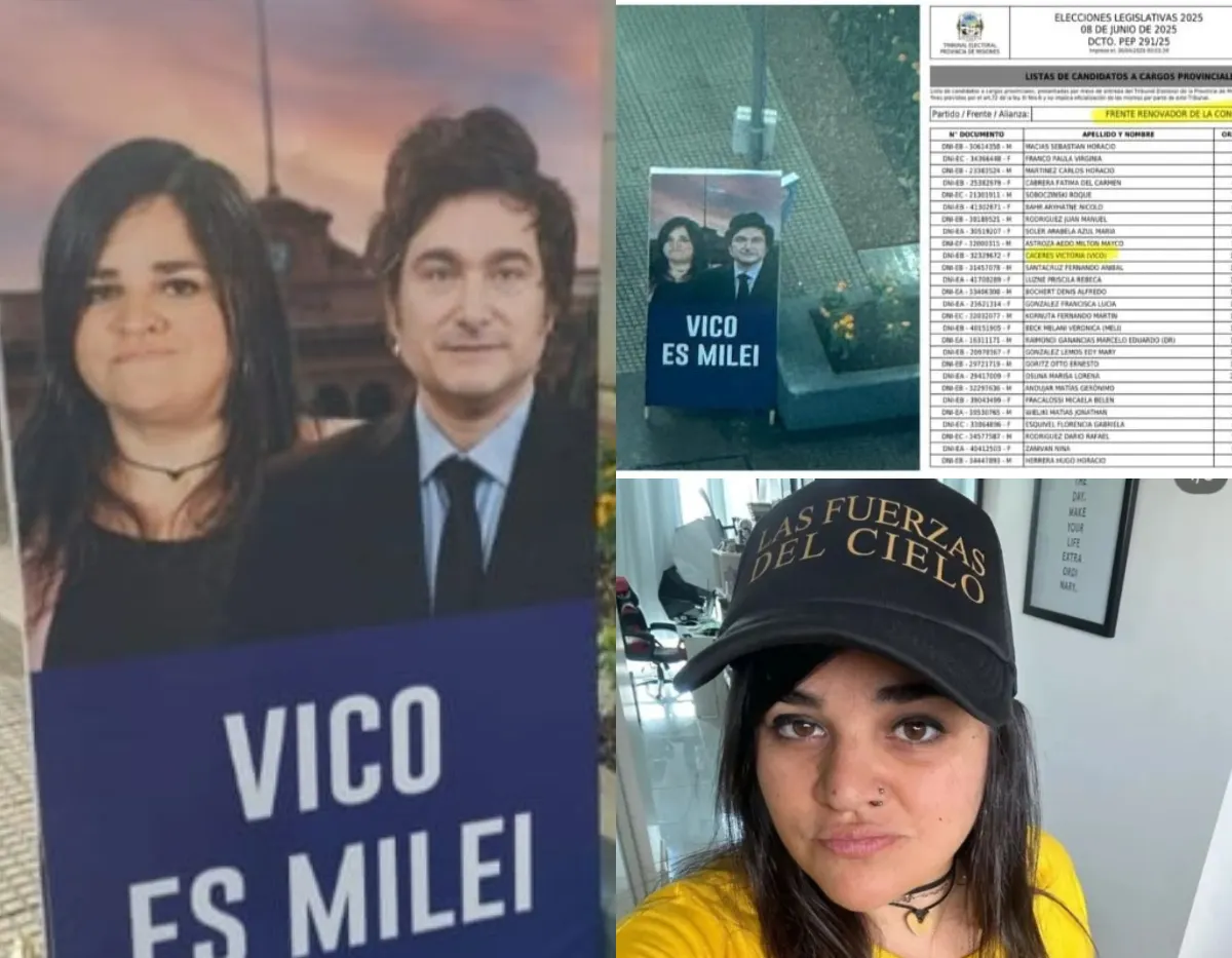 Vico - Milei - Elecciones