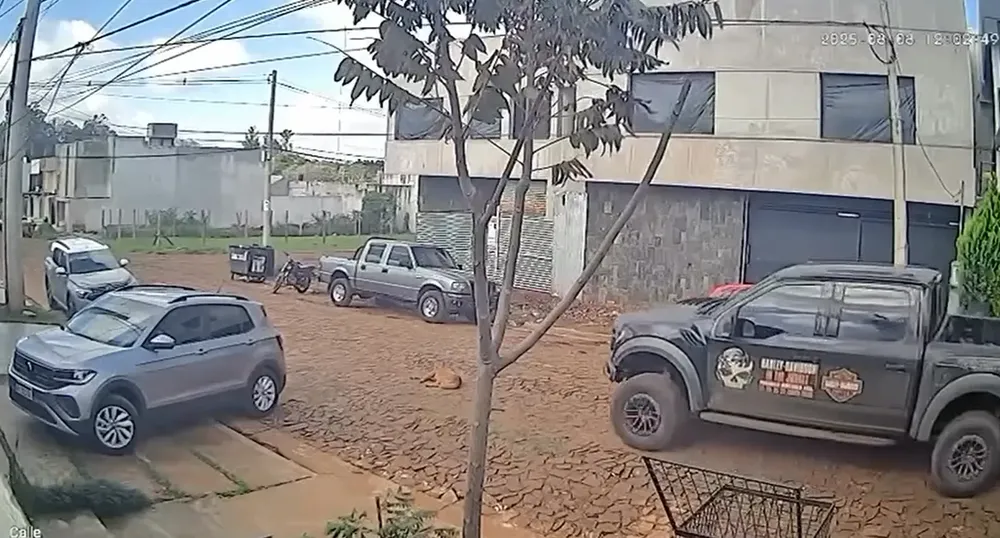 INDIGNACIÓN EN POSADAS POR LA MUERTE DE UN PERRO