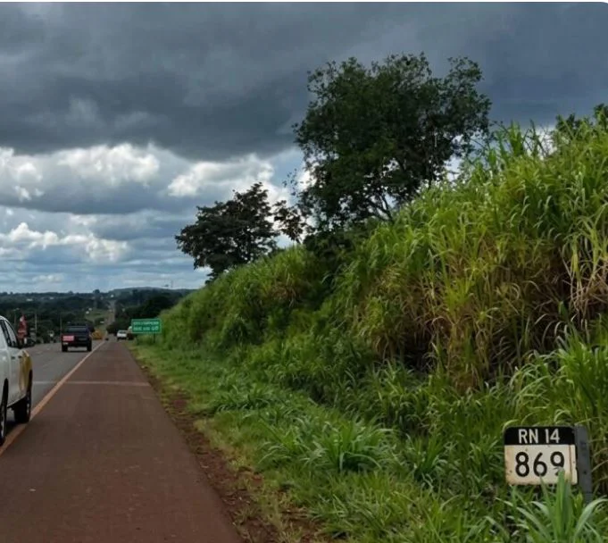 Ruta 14