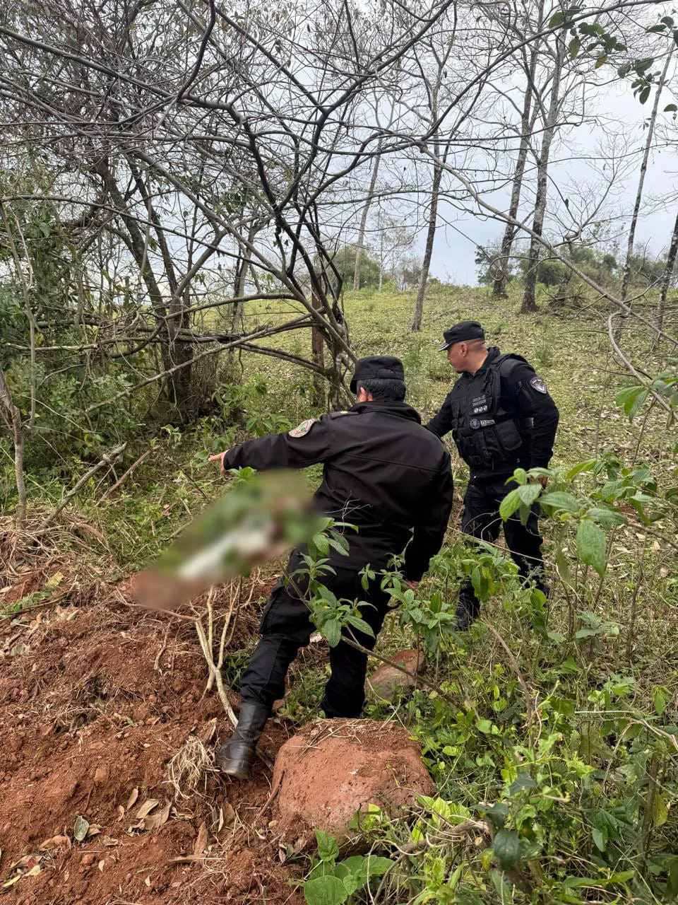 Investigan el hallazgo de una mujer asesinada en la frontera entre Misiones y Brasil