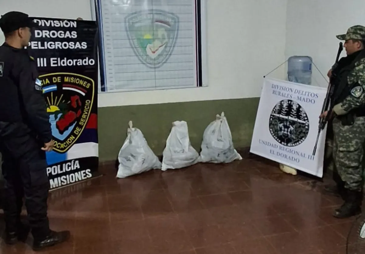 Hallaron más de 40 kilos de marihuana en zona rural de Eldorado