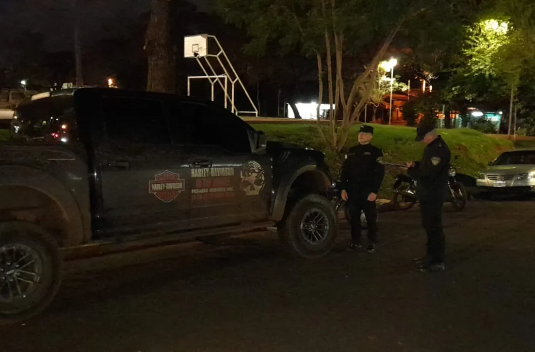 _Una camioneta 4x4 atropelló a un perro en la calle 