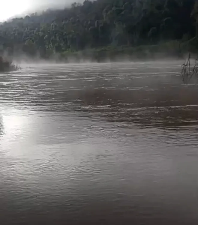 Arroyo Yaboty, camino a los Saltos del Moconá