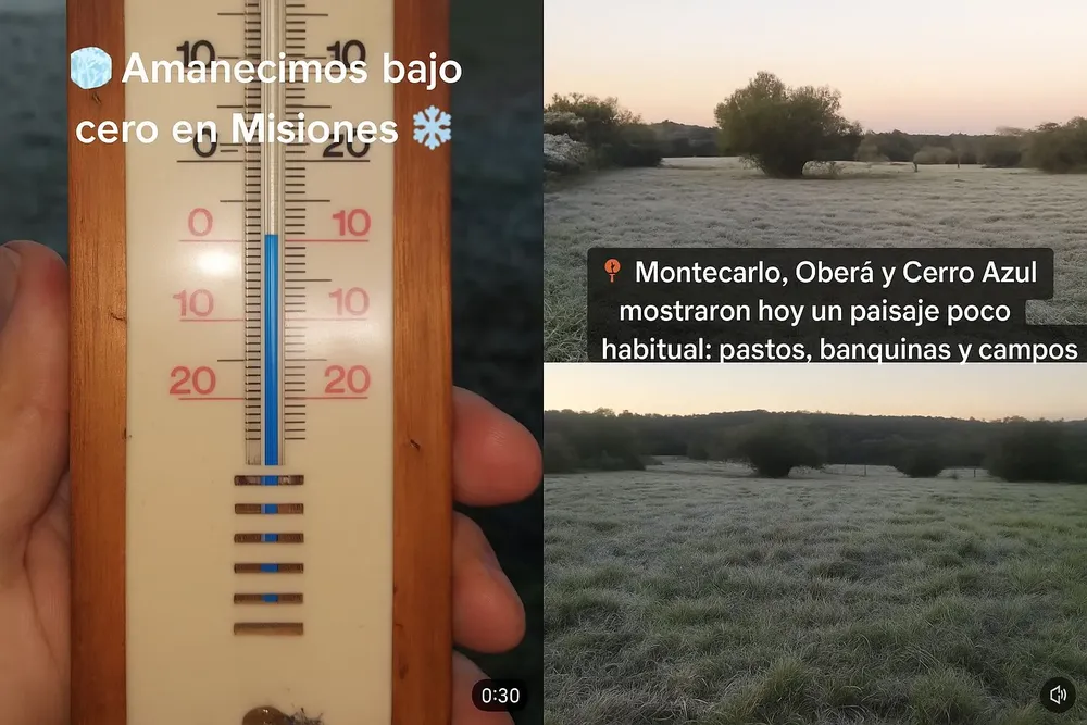 Bajo Cero