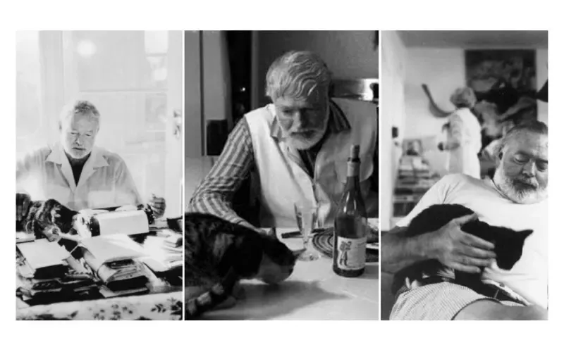 Hemingway y sus gatos