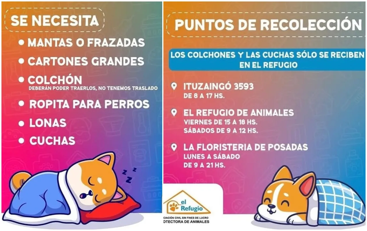 Campaña Refugio de Animales
