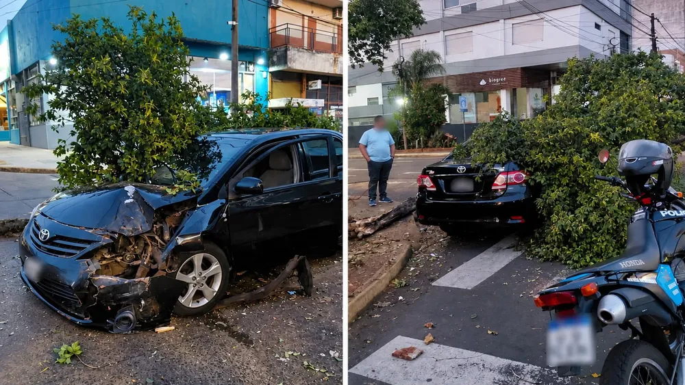 Centro de Posadas- chocó contra un árbol