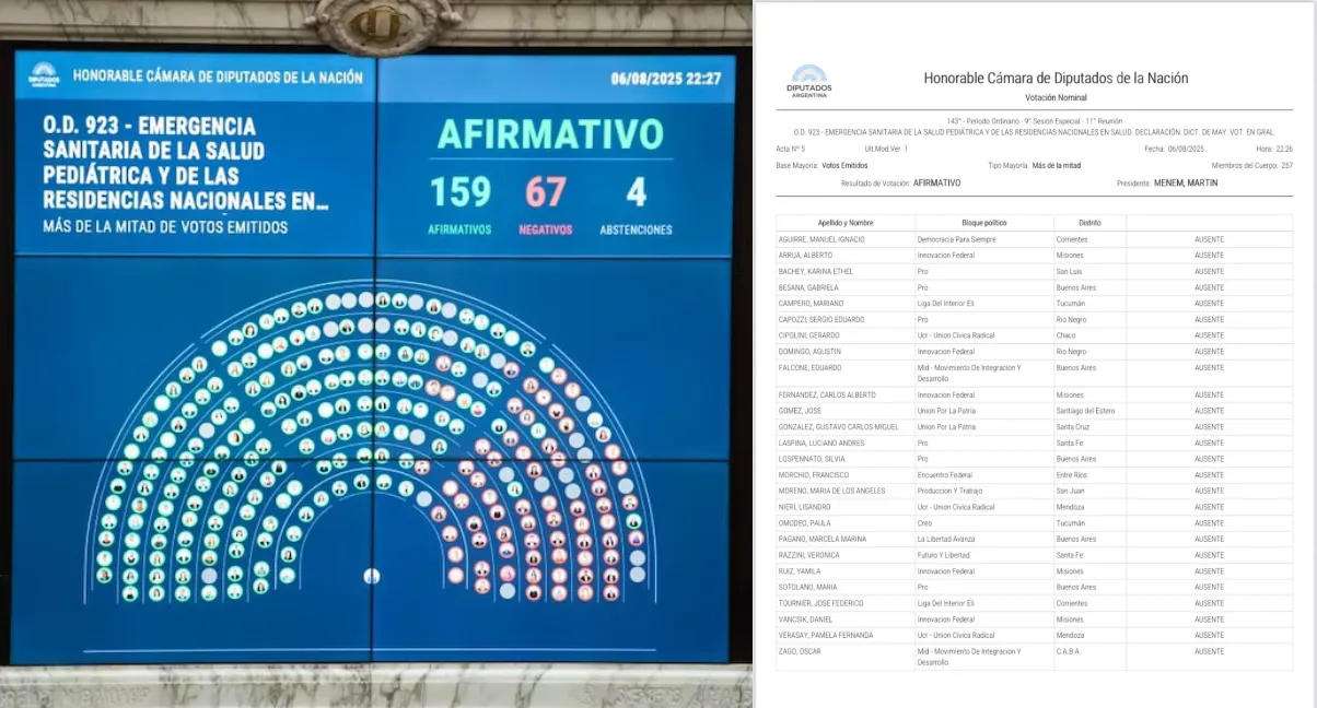 Misiones, entre las provincias con más ausentes en la votación por el Garrahan