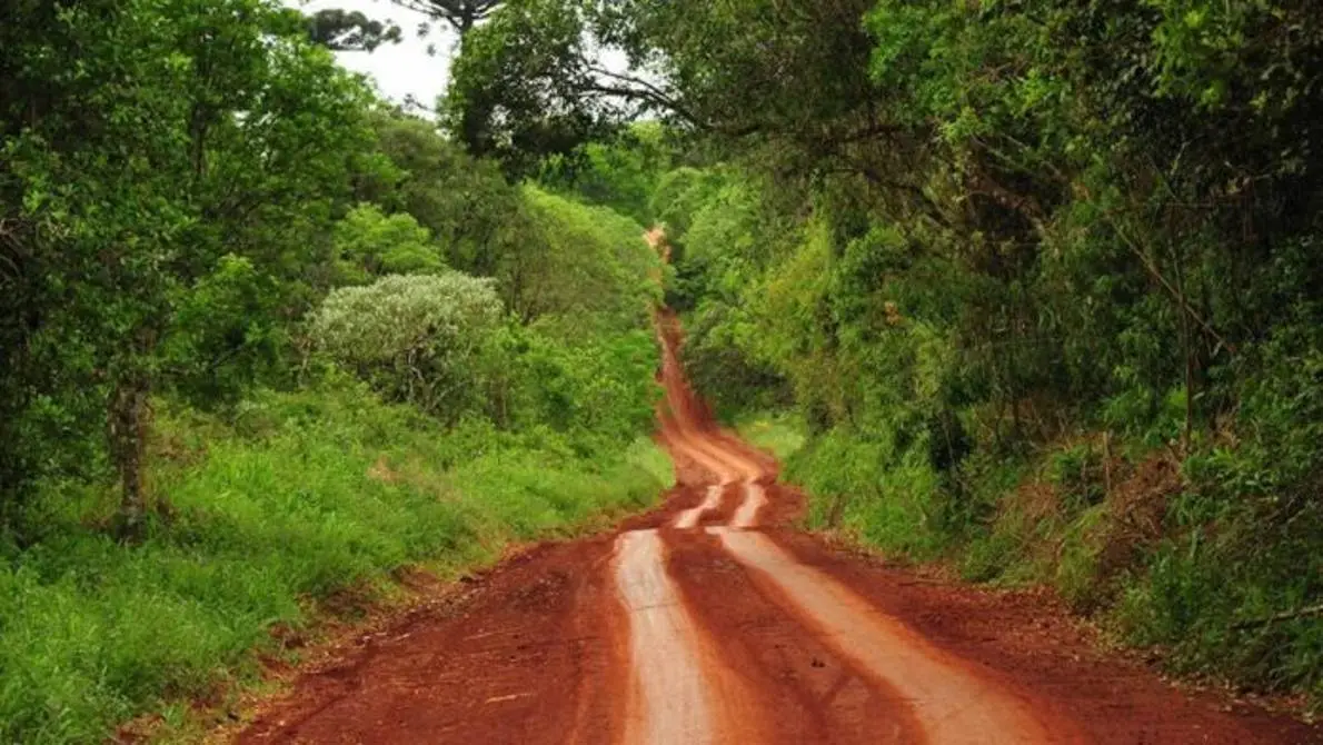 Camino Misiones