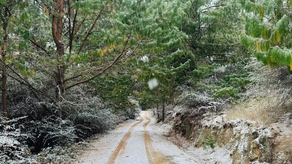 Nieve en La Cumbrecita, este domingo 29 de junio.